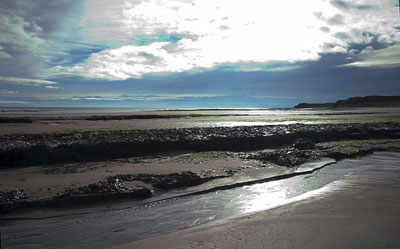 Ref:29 NORTHUMBRIAN COAST